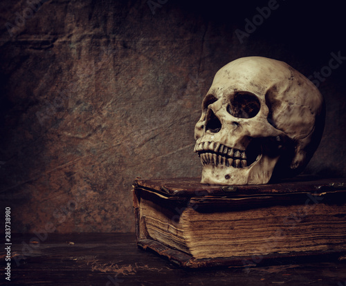 The skull lies on an old book. Photo taken in vintage style.