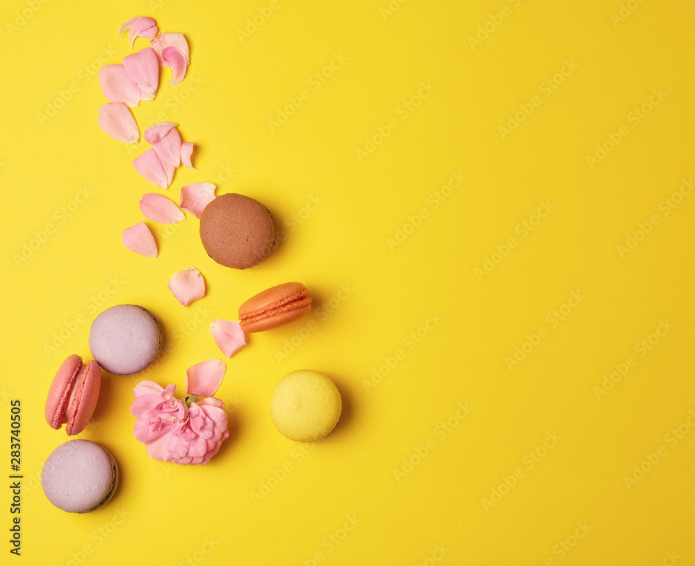 multi-colored macarons with cream and a pink rose bud with scattered petals