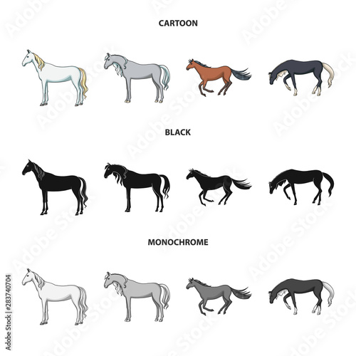 Isolated object of breed and equestrian logo. Set of breed and mare vector icon for stock.