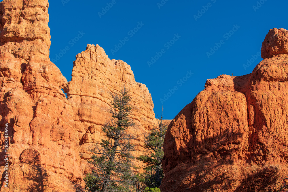Low angle landscape of orange hoodoos or rock formations and greenery at Red Canyon in Utah