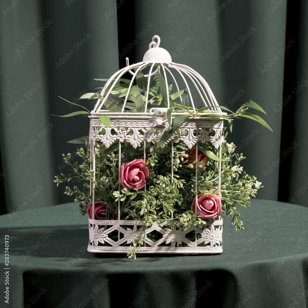 Beautiful roses in white cage