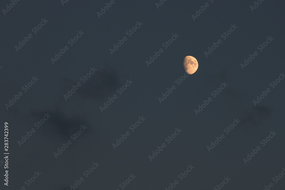 The moon always fascinates even if small. The moon always fascinates even if small.
