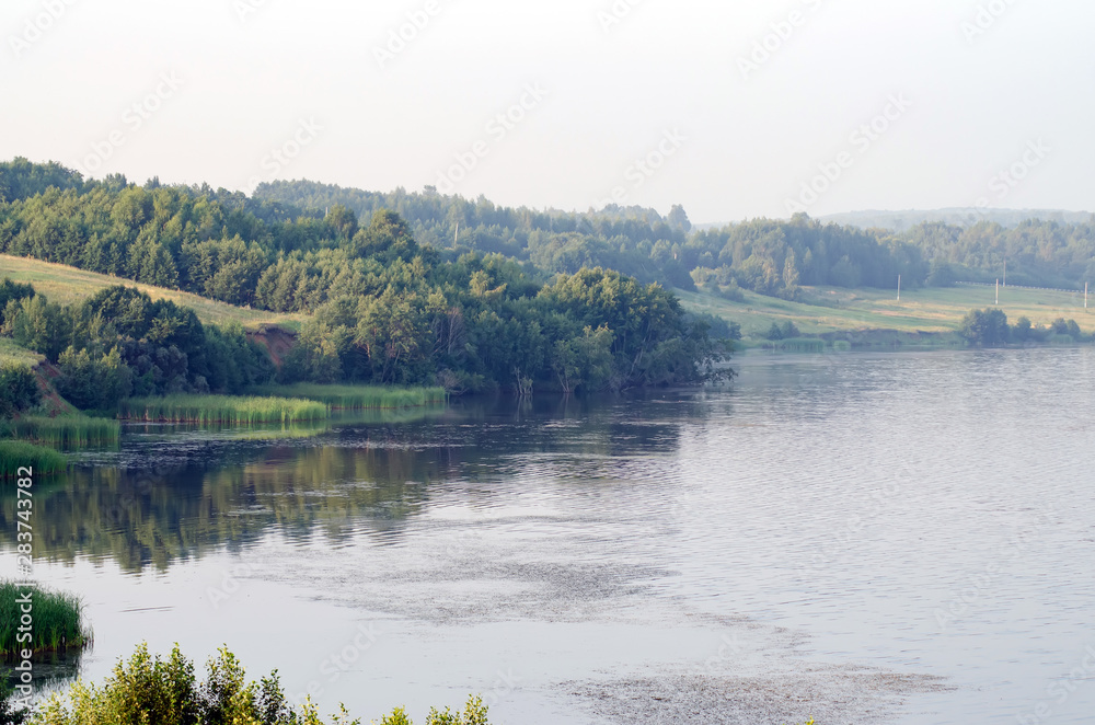 nature on the banks of the river green bushes and trees in the early summer morning at dawn in silence and tranquility nature on the banks of the river green bushes and trees in the early summer morning at dawn in silence and tranquility