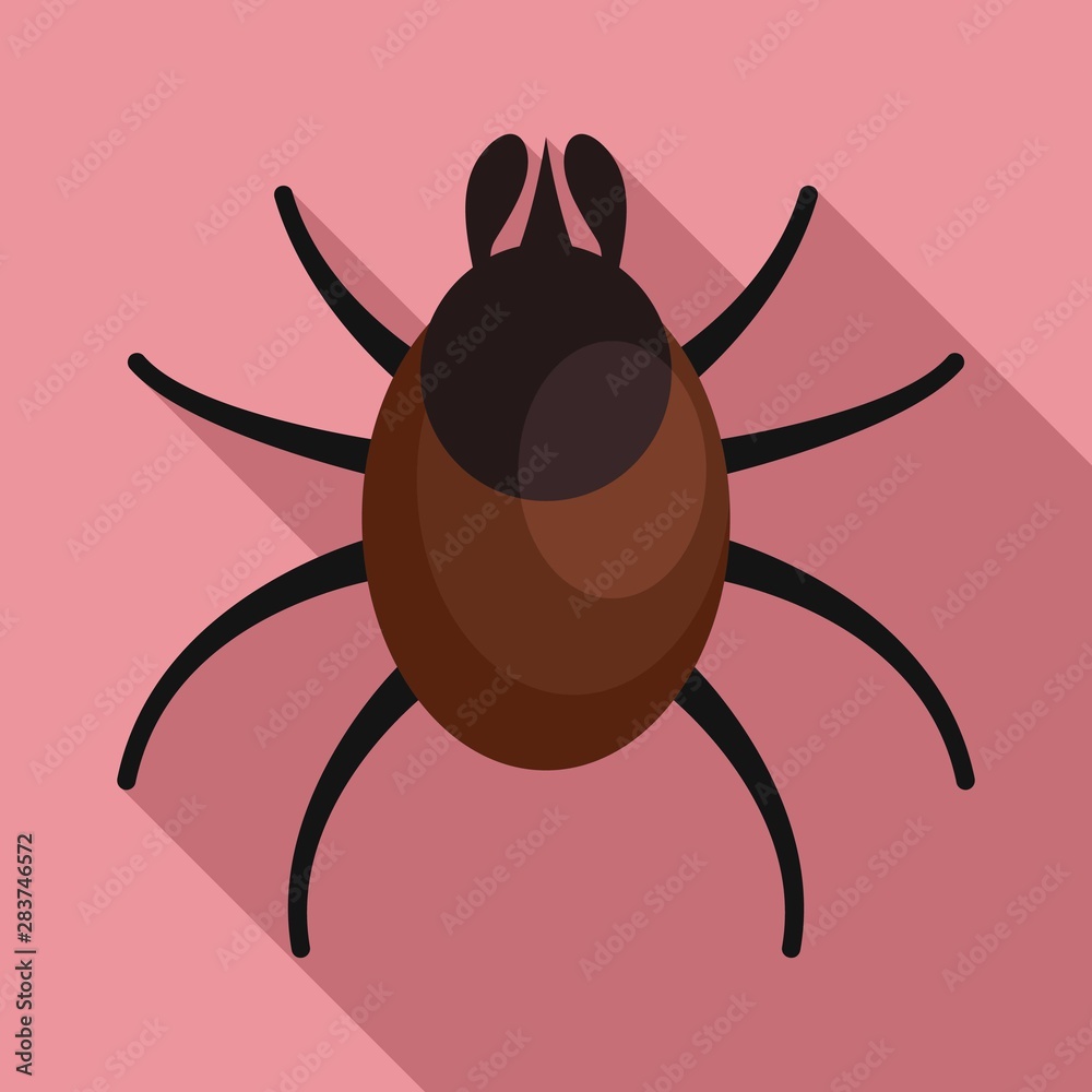 Obraz premium Animal mite icon. Flat illustration of animal mite vector icon for web design