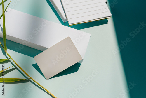 Blank personal card, stationery mockups with natural sunlight and botanical shadows
