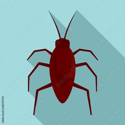 Cockroach bug icon. Flat illustration of cockroach bug vector icon for web design