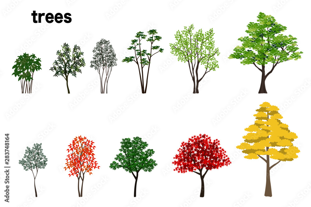 樹木数種のイラスト Stock ベクター Adobe Stock