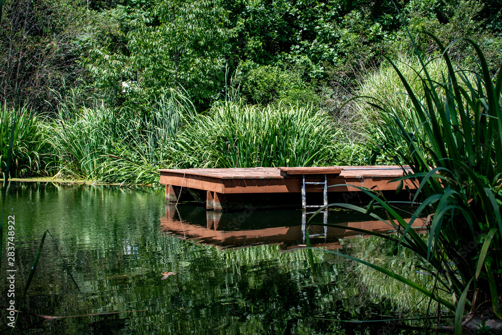 A red dock in a pond with reflection surrounded by lush greenery