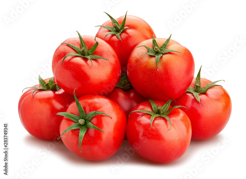 pink tomatoes photo
