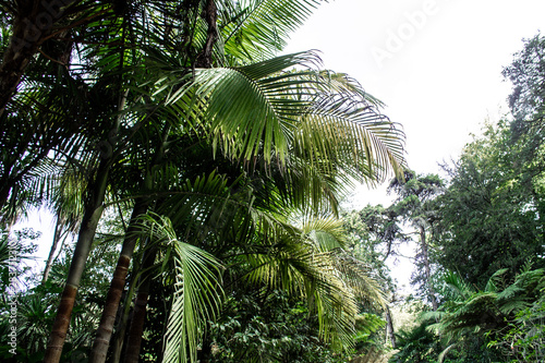 Urlaubsfeeling im Palmengarten