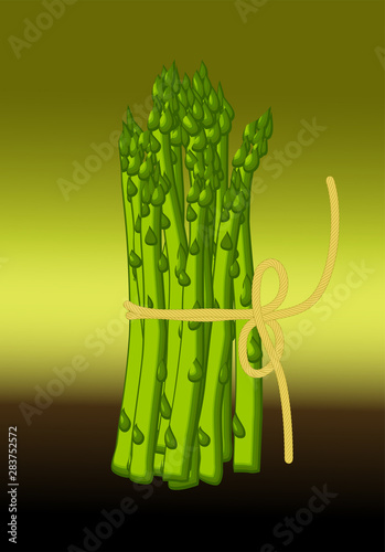 asparagus on green background