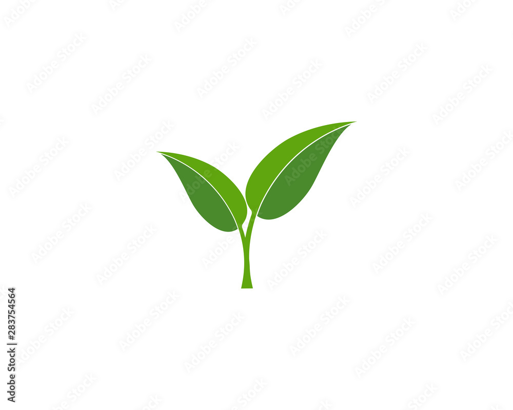 Fototapeta Green leaf ecology nature element vector icon