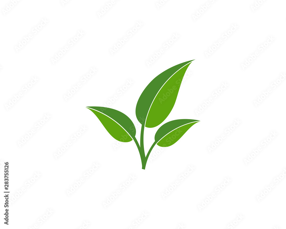 Green leaf ecology nature element vector icon Green leaf ecology nature element vector icon