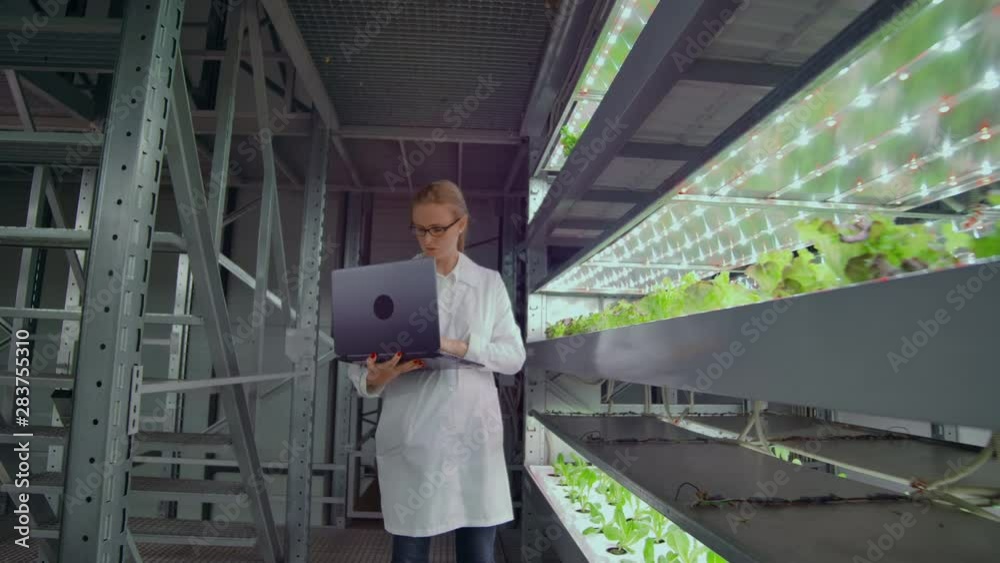 The camera moves through the corridors of a modern metal farm for growing vegetables and herbs, a team of scientists using computers and modern technology controls the growth and health of the crop The camera moves through the corridors of a modern metal farm for growing vegetables and herbs, a team of scientists using computers and modern technology controls the growth and health of the crop