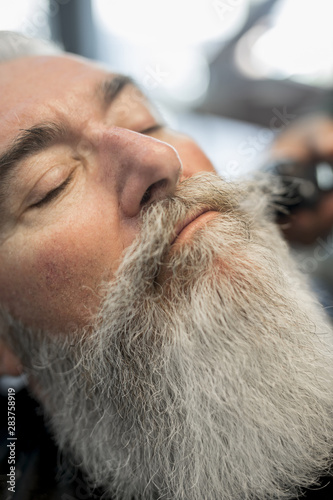 Stylish senior man face with well groomed long beard