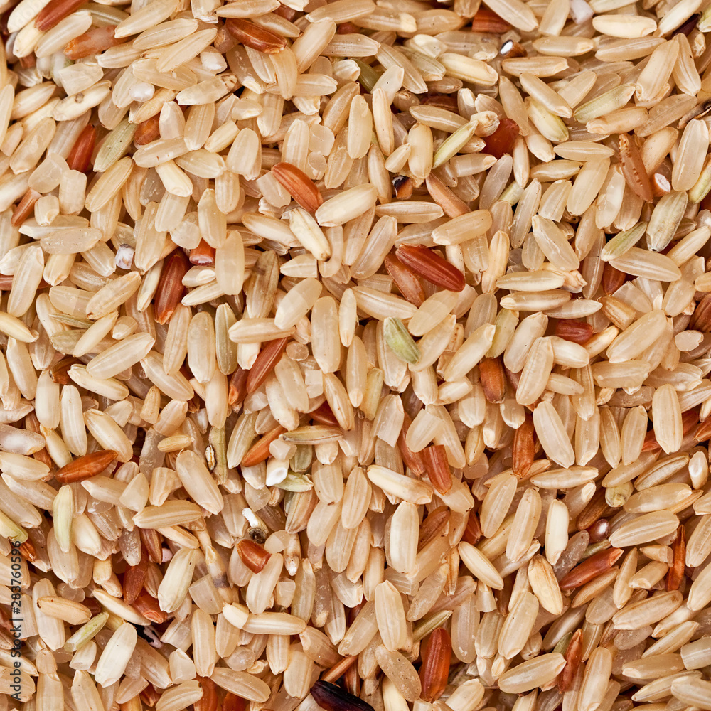 Uncooked brown rice grains