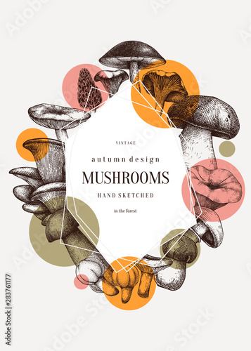 Mushrooms trendy design. Autumn frame with abstract elements. Forest plants sketches. Perfect for recipe, menu, label, icon, packaging. Vintage mushrooms background. Healthy food illustration.