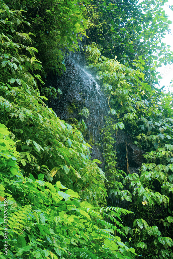 Beautiful waterfall in green tropical rain forest in Bali, Indonesia Beautiful waterfall in green tropical rain forest in Bali, Indonesia
