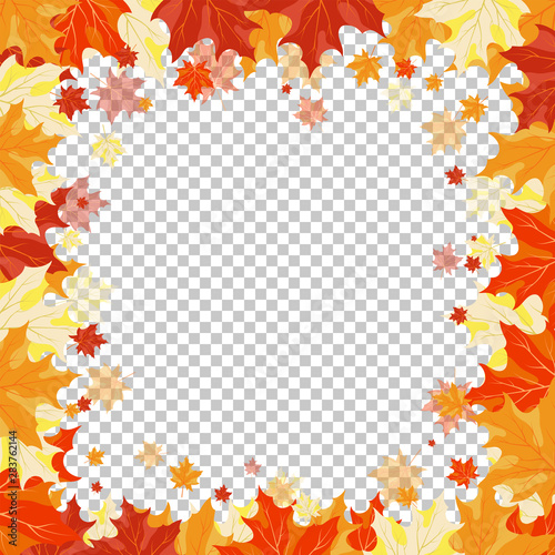 Fall  Autumn  Maple Background