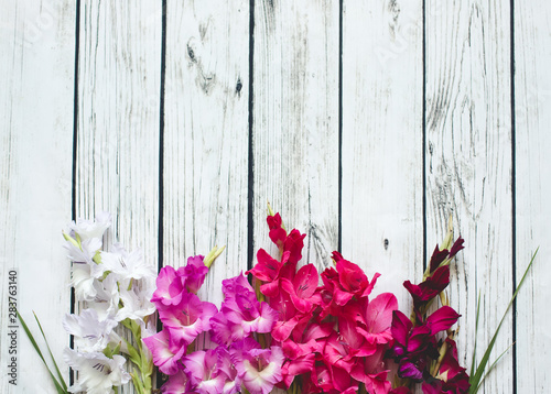 Fototapeta Naklejka Na Ścianę i Meble -  Gladiolus flowers top view
