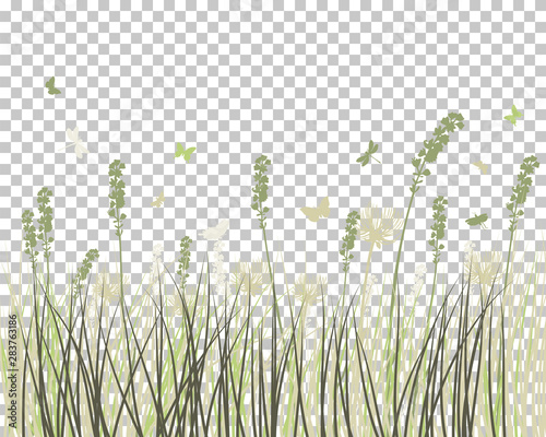 Summer meadow