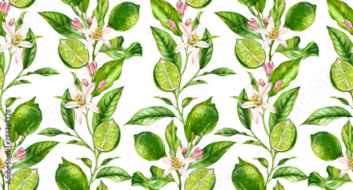 Lime fruit seamless pattern watercolor tree branch with flowers realistic botanical floral surface design: whole half citrus leaves isolated artwork on white hand drawn for textile wallpaper