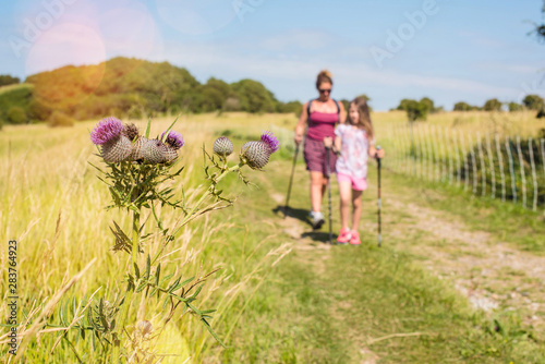 beautiful girl and her mom doing nordic walking with sticks in the countryside