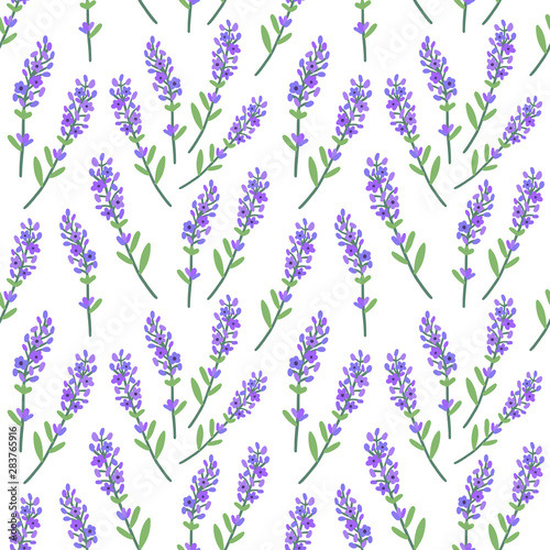 Beautiful Lavender Pattern. Seamless Background. Vector.