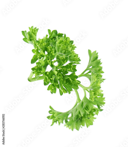 Fototapeta Naklejka Na Ścianę i Meble -  Fresh green organic parsley on white background