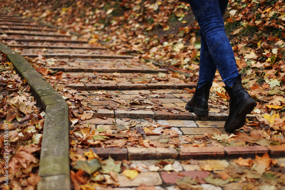 A path of yellow brick strewn with autumn leaves leads into the distance. Legs of a girl in blue jeans and boots are walking. A path of yellow brick strewn with autumn leaves leads into the distance. Legs of a girl in blue jeans and boots are walking.