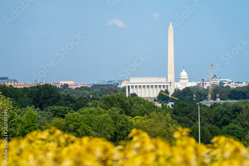 Skyline view of Washington DC, with the Lincoln Memorial, Washington Monument and Capitol building in view. Wildflowers blurred in foreground