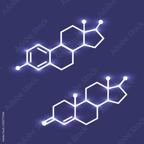 Testosterone and estradiol chemical formulas. Hormones.