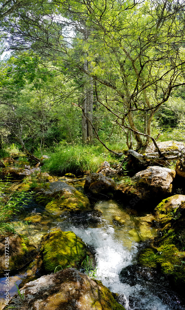 Obraz premium górski potok