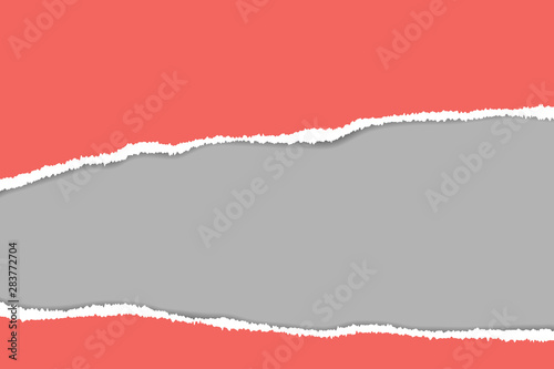 Wallpaper Mural Ripped paper. Vector of ripped paper. The paper was ripped background. Torontodigital.ca