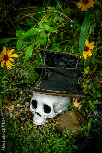 Scary Halloween Skull Top Hat photo