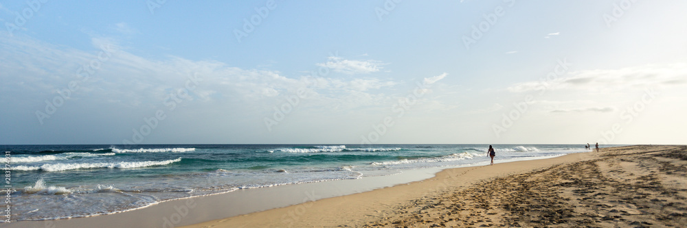 Exotic beach and ocean, panorama