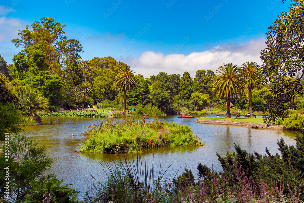 Botanical gardens in Melbourne, Australia in the Summer Botanical gardens in Melbourne, Australia in the Summer