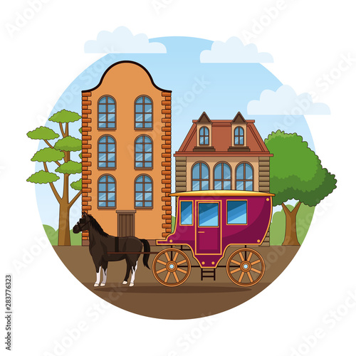 Horse with antique carriage vehicle