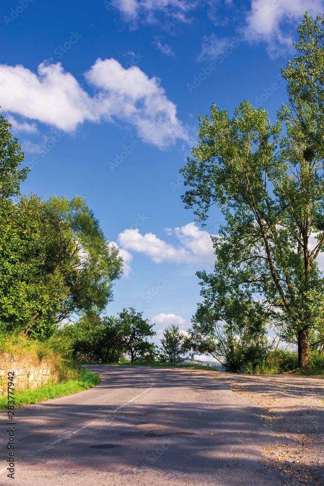 road uphill through forest. beautiful autumn scenery with trees in green foliage. amazing