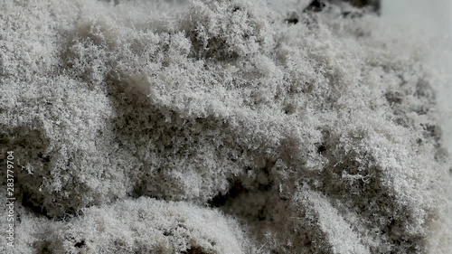 close up Dust on system air conditioner or electric fan, Not cleaned, cause of allergy, virus concept