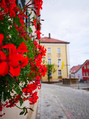 Blumen am Further Stadtplatz photo