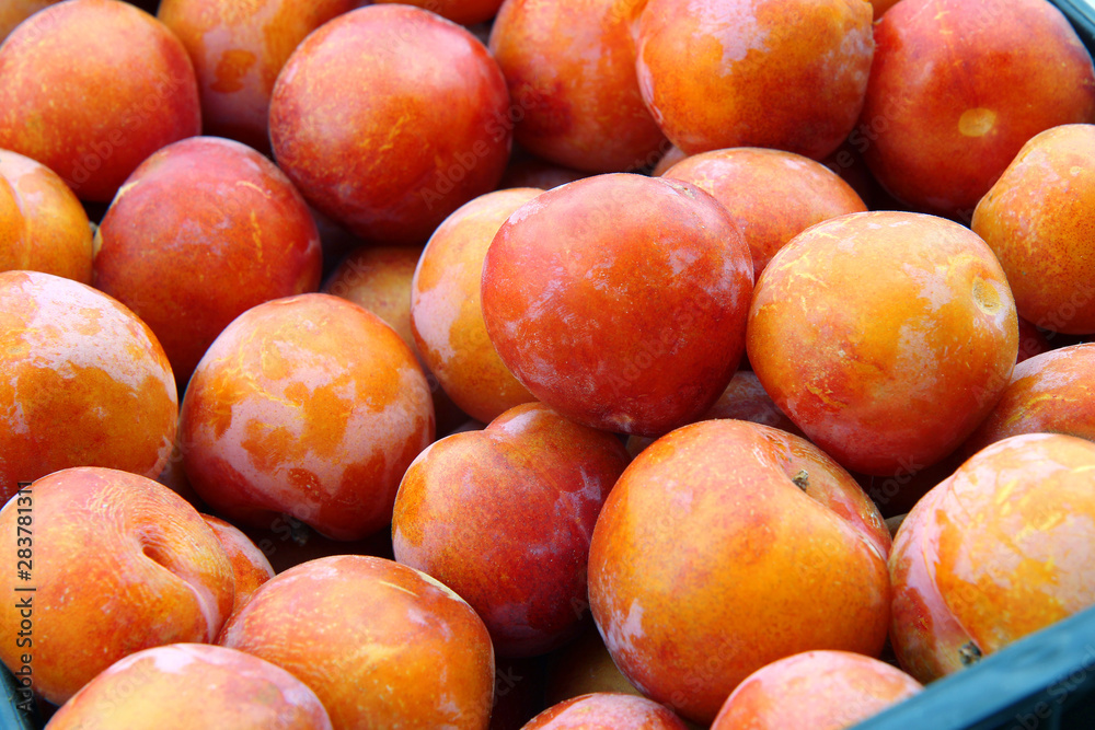 fresh plums at the market fresh plums at the market