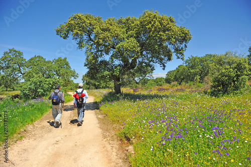 Men hiking in springtime at the Cornalvo Natural Park near the village of Aljucen, province of Badajoz, Extremadura, Spain
