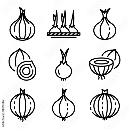 Onion icons set. Outline set of onion vector icons for web design isolated on white background