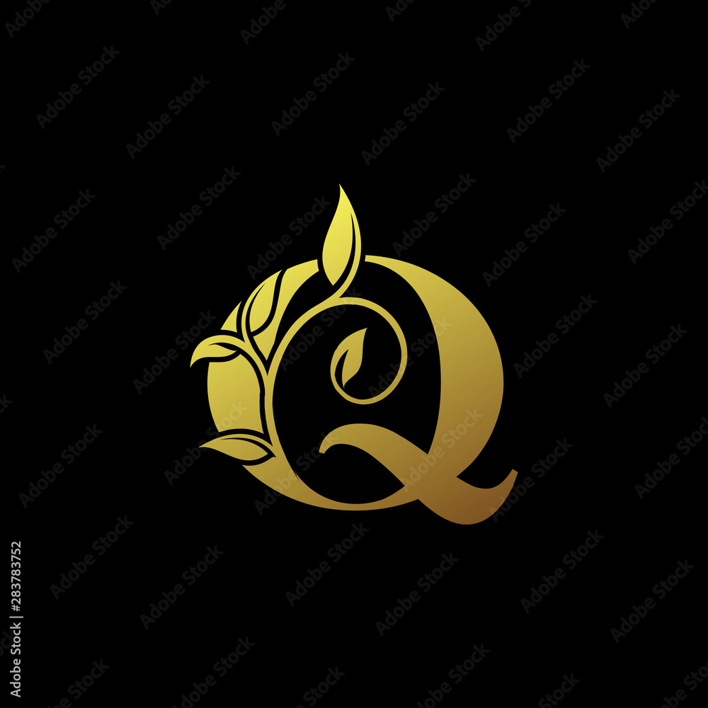 Q Gold Letter Logo With Luxury Floral Design. Vintage Q drawn letter mark for book design, brand name, business card, Restaurant, Boutique, Hotel. Q Gold Letter Logo With Luxury Floral Design. Vintage Q drawn letter mark for book design, brand name, business card, Restaurant, Boutique, Hotel.