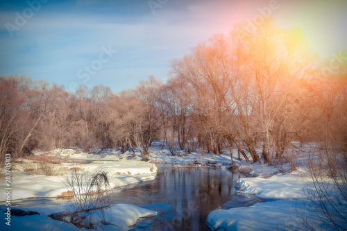 Sunny winter day by a small river.