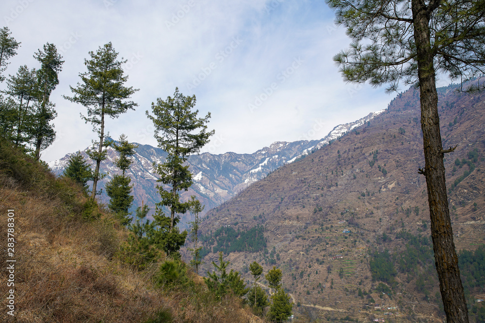     View  on Mountains   near  Kullu,   Himachal Pradesh