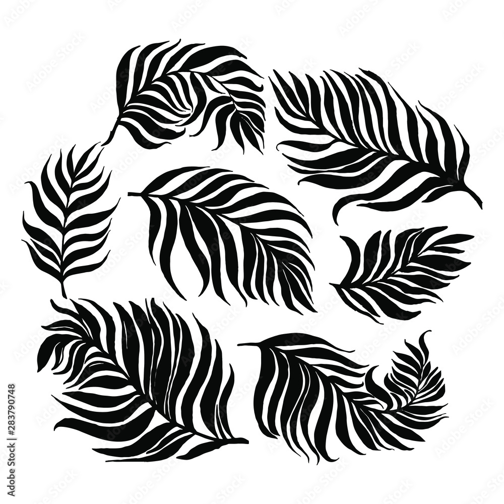 Tropical leaves palm. Jungle leaf tropic set. Hand drawn exotic leves. Vector. Set of palm leaves silhouettes isolated on white background. Vector EPS10