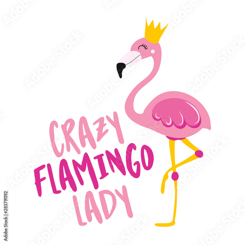 Crazy flamingo lady - Motivational quotes. Hand painted brush lettering with flamingo. Good for t-shirt, posters, textiles, gifts, travel sets.