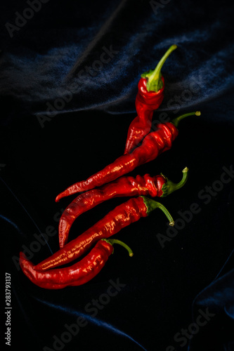 Five hot red peppers on a dark blue background